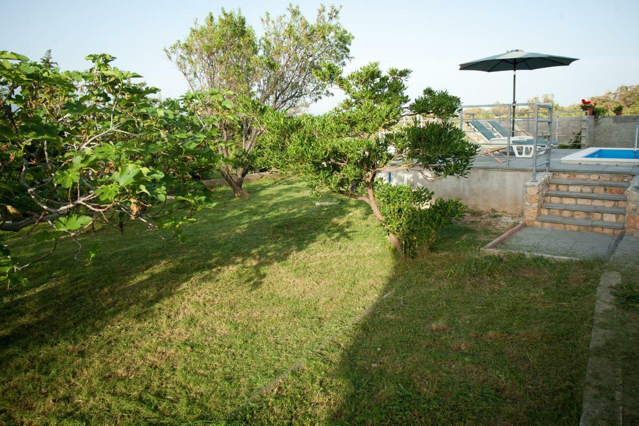 Apartman Ana Radovin 外观 照片